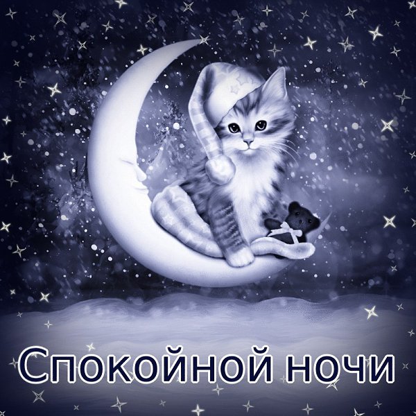   - 10  2022  00:44