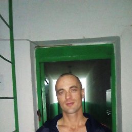 , 41, 