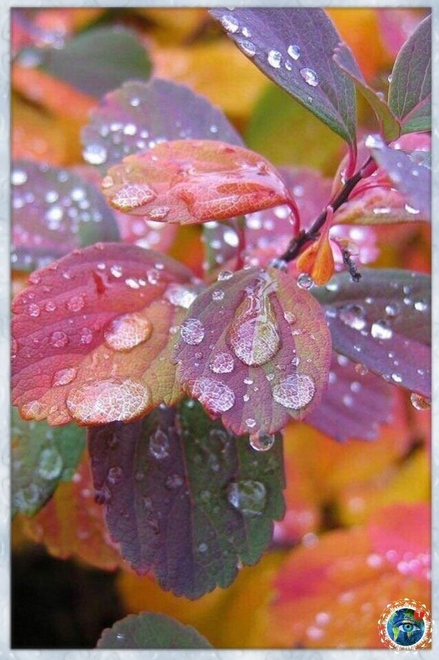 a��� poc� �a� �po���e�e��e �c��cc��a! ���� ������������ ��� - 4