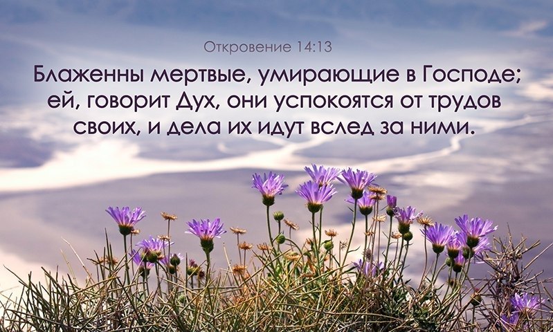   -   - 31  2022  12:09
