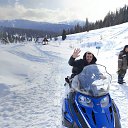 ���� ���������, ���������, 41 ��� - ��������� 20 ����� 2022 � ������ ���� ����������