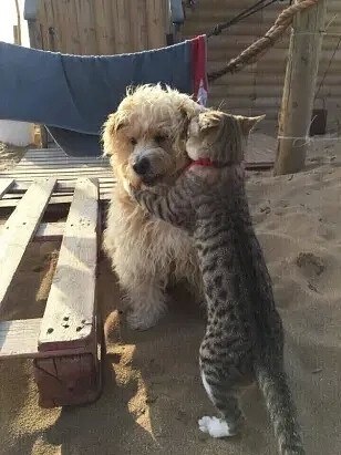  , !   ,   !