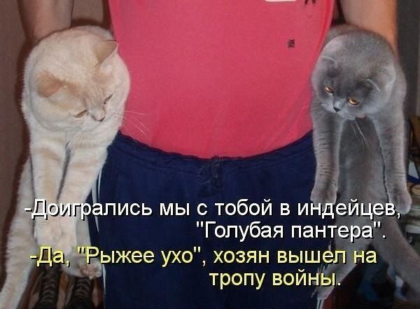    - 11  2022  08:38