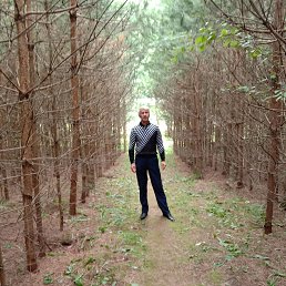 ���� �����, ������, 54 ���� - ��������� 11 ������� 2022