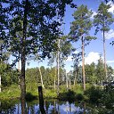 ���� ���������, �����, 54 ���� - ��������� 12 ������ 2022 � ������ ���� ����������