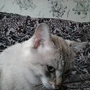 ���� Xorston, ������� - ��������� 9 ������ 2022 � ������ ���� ����������