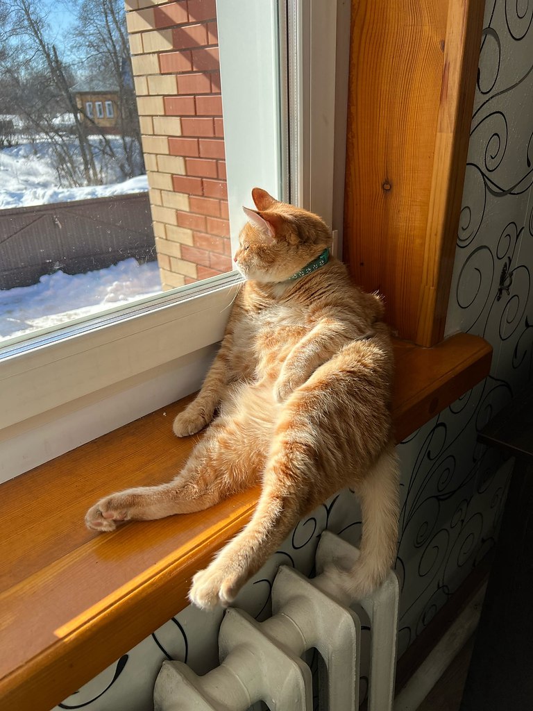     ! - 2