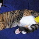 ���� ����, ���������, 21 ��� - ��������� 13 ������ 2022 � ������ ���� ����������