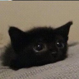 , , 31 
