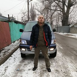 ��������, ������, 41 ���