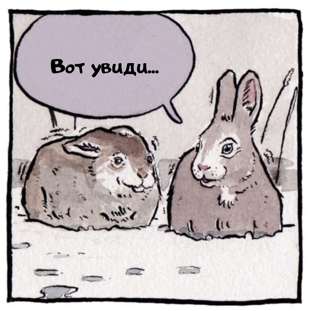        - 3