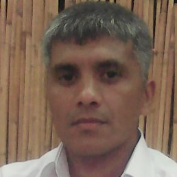 ������, �����-���������, 37 ���