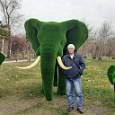 ���� �������..., ���������, 56 ��� - ��������� 26 ������� 2022 � ������ ���� ����������