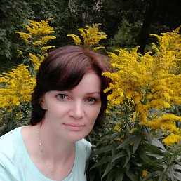 ���� �������, �����-���������, 50 ��� - ��������� 31 ���� 2022