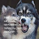 ���� �������, �������, 36 ��� - ��������� 1 ������� 2022 � ������ ���� ����������