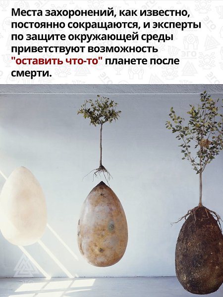 Идея от экоактивистов по защите природы. Как вам такое развитие событий? - 3