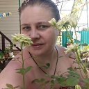 ���� �������, ���� - ��������� 4 ������� 2022 � ������ ���� ����������