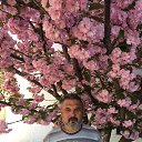 ���� �������, ����, 67 ��� - ��������� 26 �������� 2022 � ������ ���� ����������