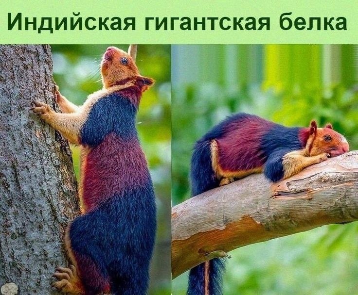   - 23  2023  13:09