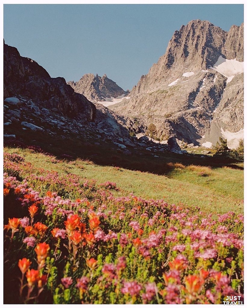 oa aop.#art #travel #world - 6