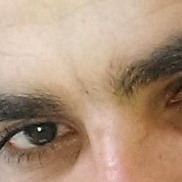 ���� �����, ������, 44 ���� - ��������� 11 �������� 2022