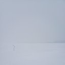 ���� �����, ���� - ��������� 19 ������� 2023 � ������ ���� ����������