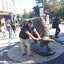 ���� ������, ������, 45 ��� - ��������� 17 ������ 2023 � ������ ���� ����������