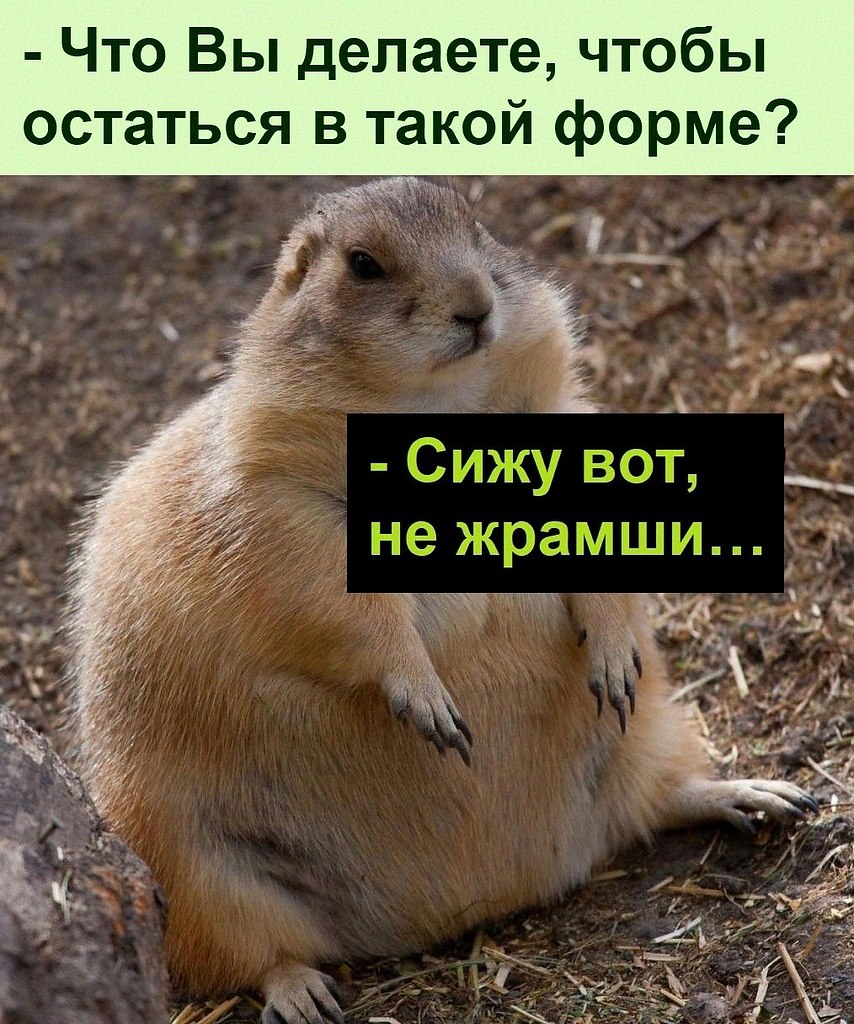   :D - 14  2022  10:28