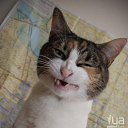 ���� ���������, �����������, 53 ���� - ��������� 7 ������ 2022 � ������ ���� ����������