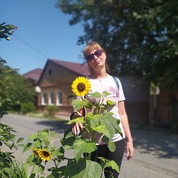 ���� �������, ������� - ��������� 4 �������� 2022