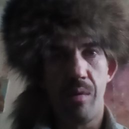 �����, ������������, 43 ����