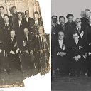  , , 56  -  22  2022     .