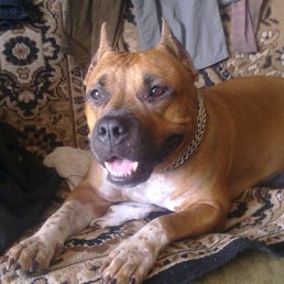 ���� ����, �����, 63 ���� - ��������� 13 ������� 2022