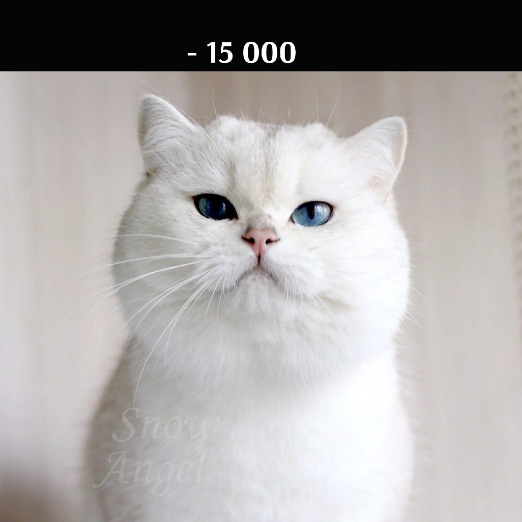       - 14  2022  11:12 - 2