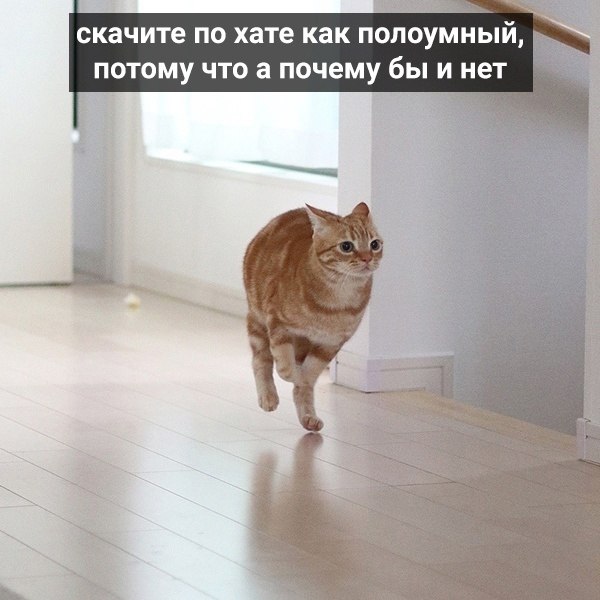    .    - 5
