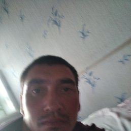  , , 32  -  31  2022
