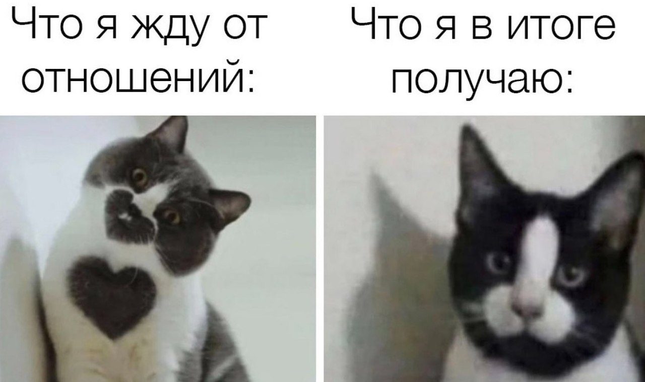   - 12  2022  17:40