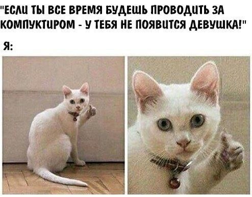    - 10  2022  04:39