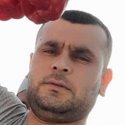 Doni, �����, 38 ���