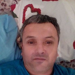 ���� �����, �����-���������, 56 ��� - ��������� 1 ��� 2022