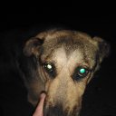 ���� �����., �������������, 42 ���� - ��������� 15 ������ 2023 � ������ ���� ����������