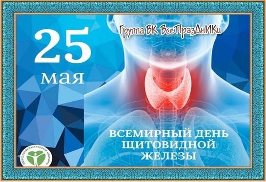   ,    . - 24  2022  19:02 - 2