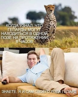   - 10  2023  21:56