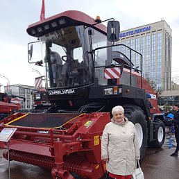 ��������, ������, 65 ���