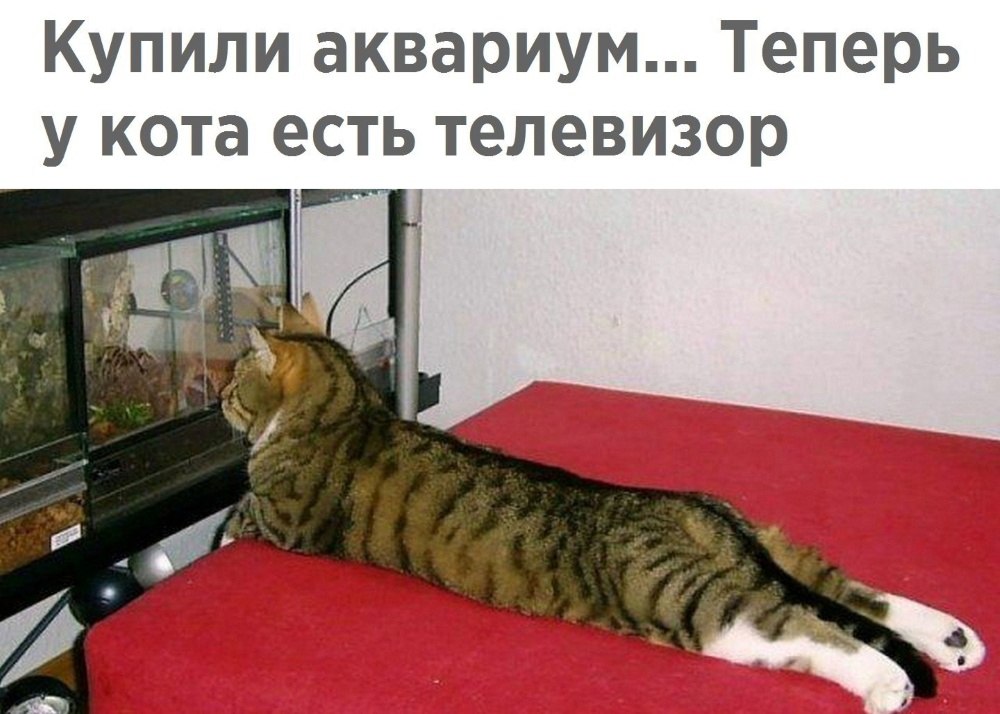   - 6  2023  17:34