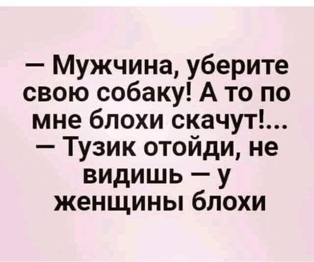 ☆ ☆ - 13  2022  18:17