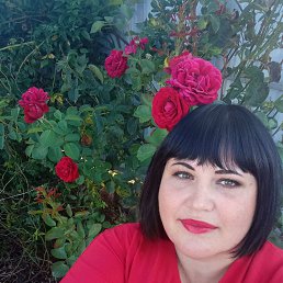 ���� ������, �����������, 41 ��� - ��������� 27 �������� 2022