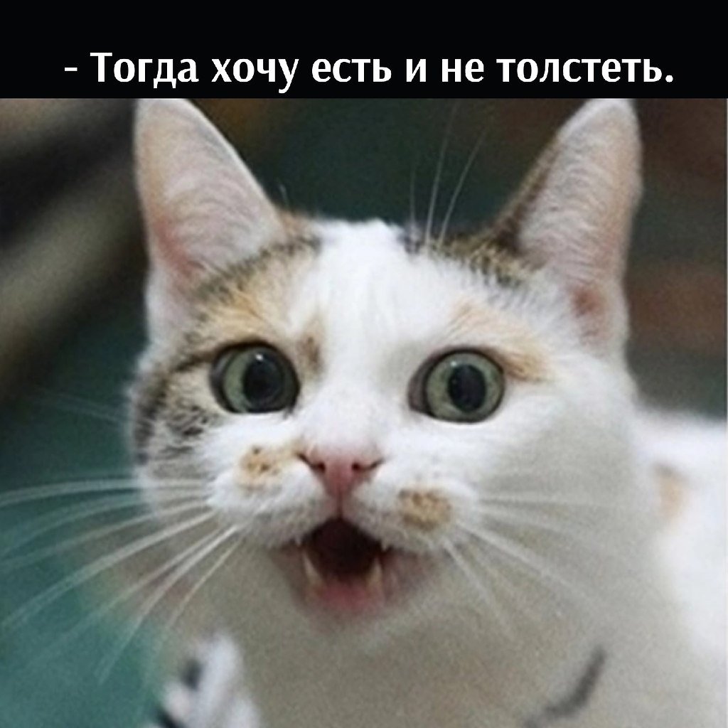       - 13  2022  13:41 - 3