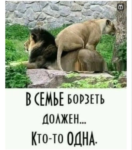   - 27  2022  12:02