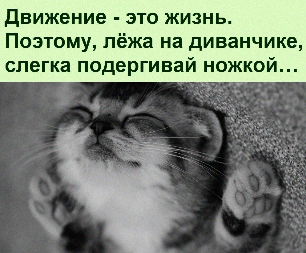   :D - 15  2022  16:43